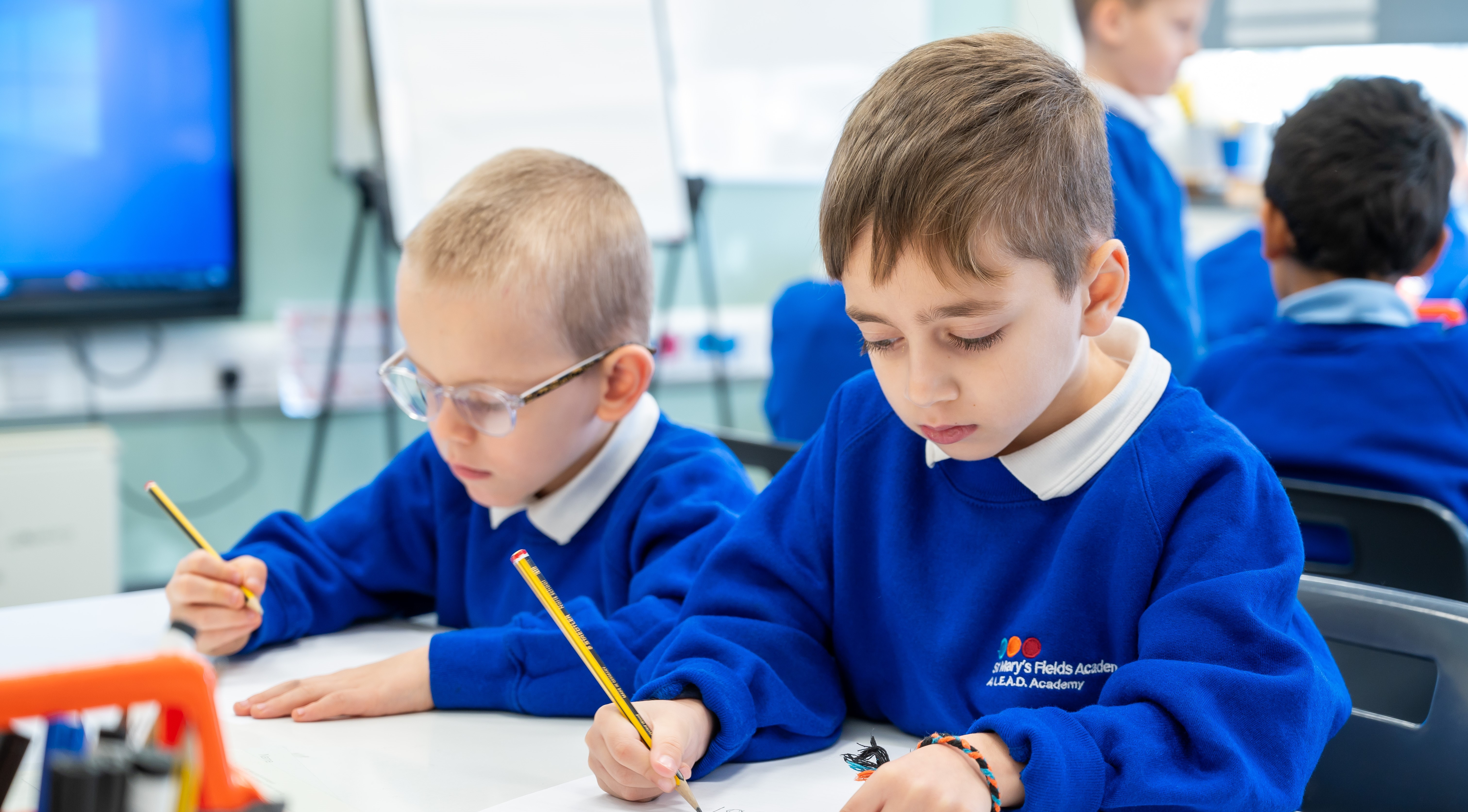 St Marys Fields School &#8211; 041-107 web banner