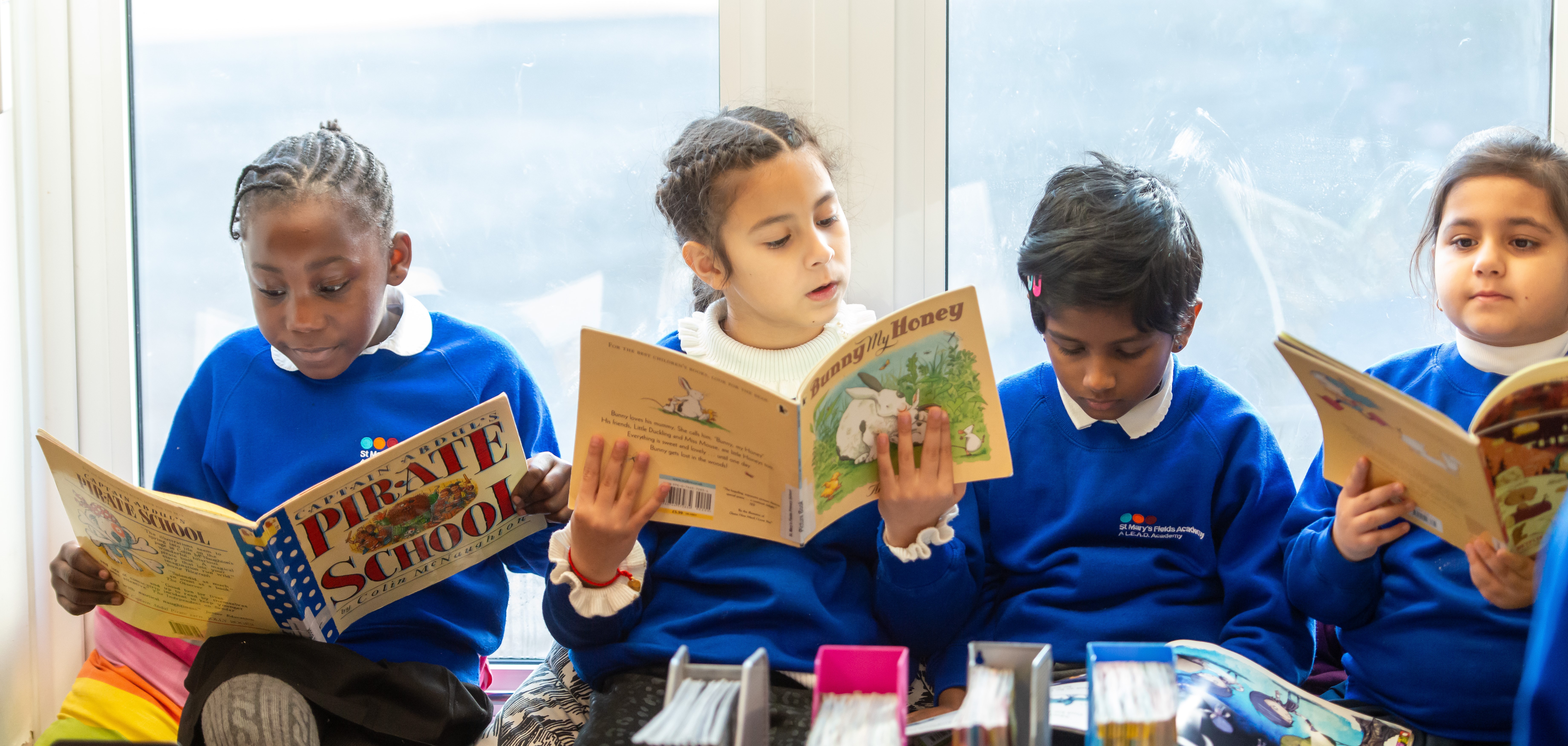 St Marys Fields School &#8211; 041-9 web banner